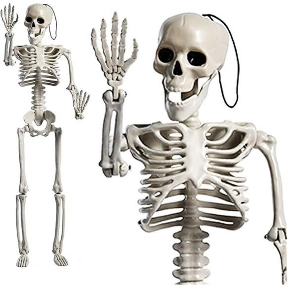 24 Inches Halloween Skeleton, LED Light Up Glowing Eyes Pose-N-Stay Halloween